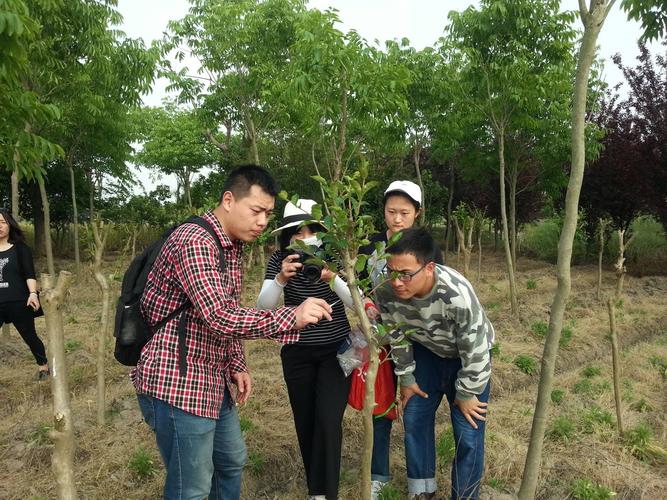 青浦区启动2016年林业有害生物第一轮普查